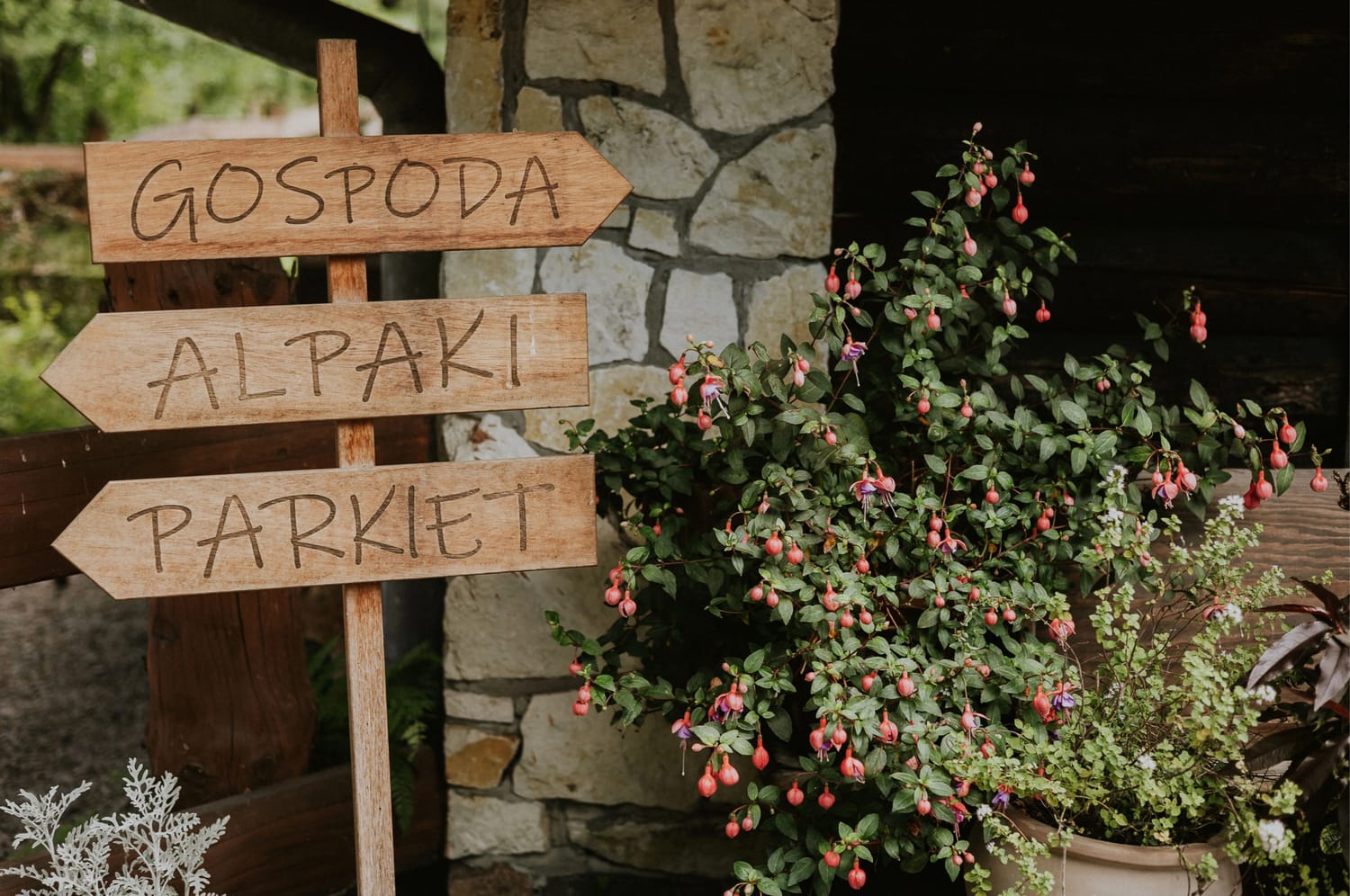 Drogowskaz: gospoda, alpaki, parkiet, przy kwiatach.