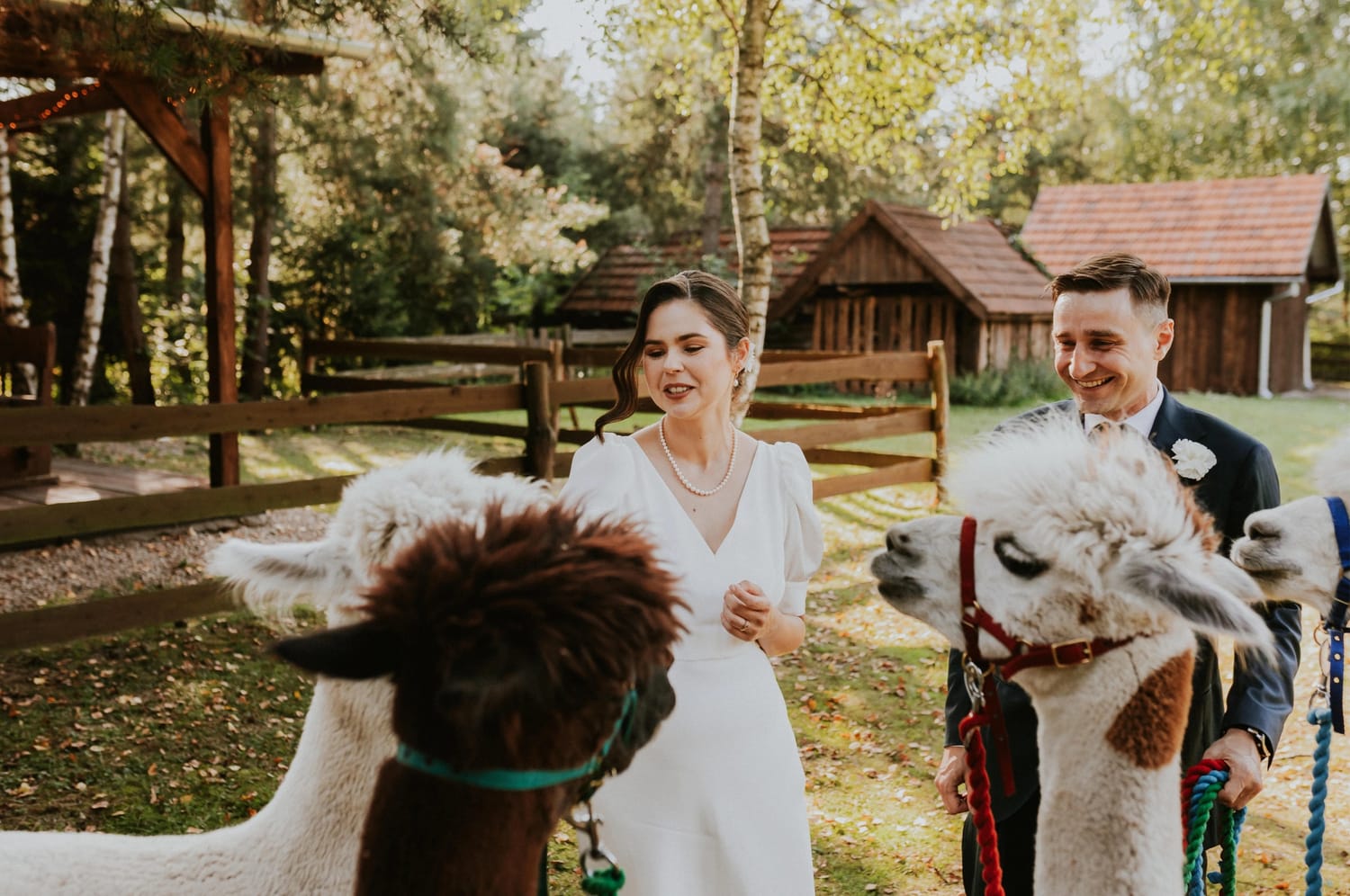 Para z alpakami na ślubnym przyjęciu na zewnątrz.
