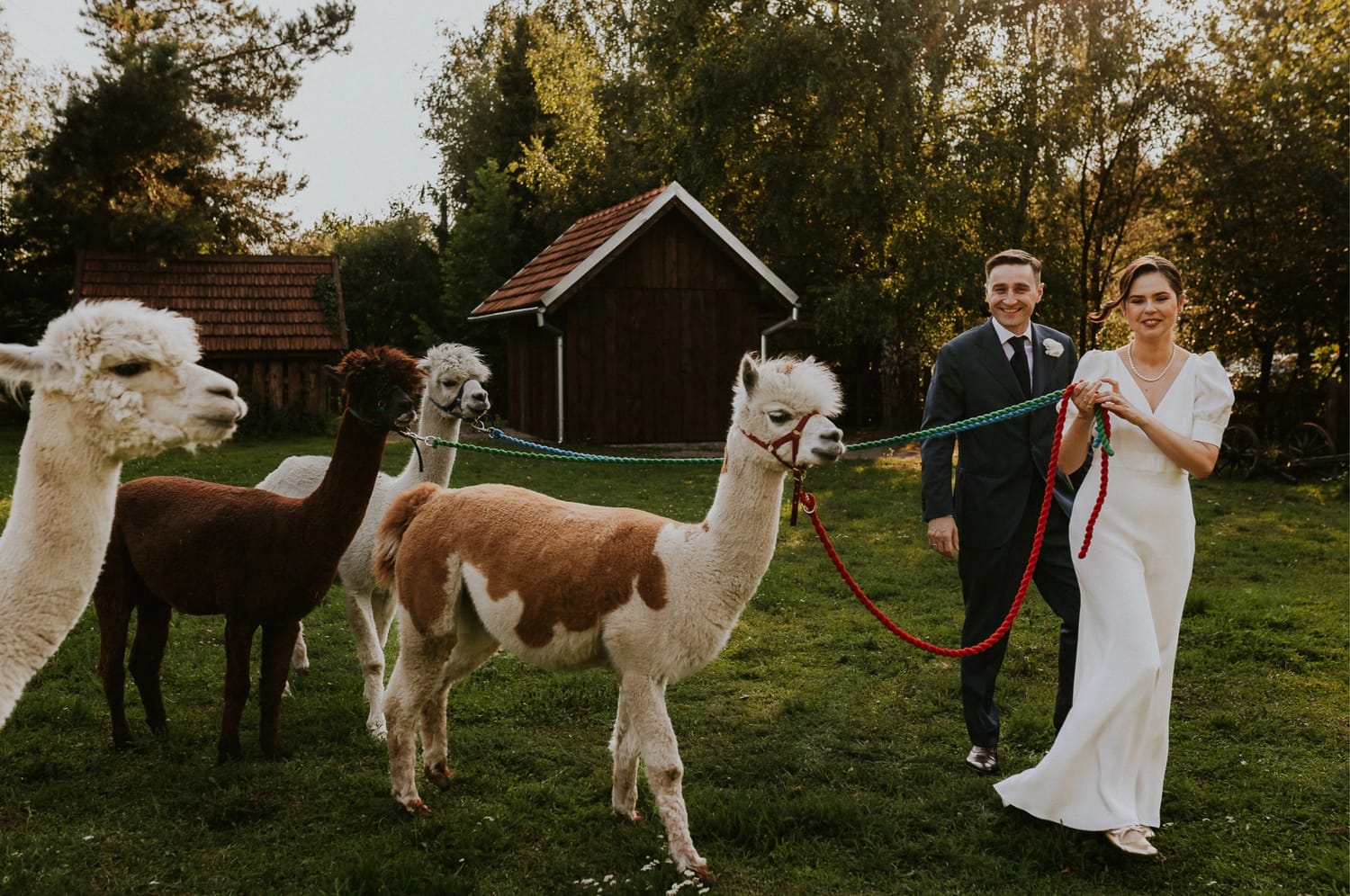 Para młoda z alpakami na trawie.
